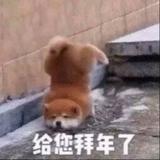 哦吼972头像