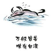 朱的个人资料头像