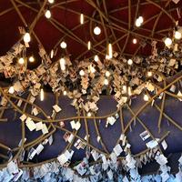 用户2374702554606头像