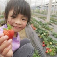 期待4183166344321头像