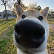 今晚吃面的个人资料头像
