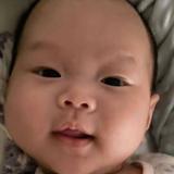 陈若愚745头像