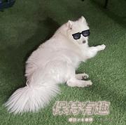 可可灏的个人资料头像