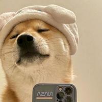 野猪贩大叔头像