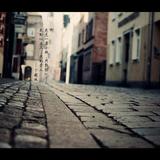 捕风捉影1682头像