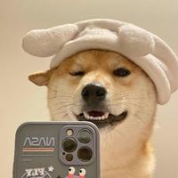 努力站桩的奶酪小哥头像