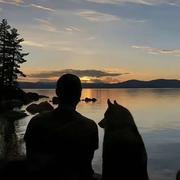 动物园管理员的个人资料头像