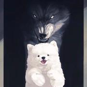 八月8446的个人资料头像