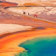 随风395的个人资料头像