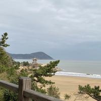 Ai踱步向前头像