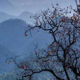 用户122946798043头像