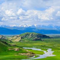 无双面条子头像