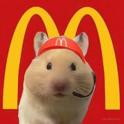 重生之工厂离职回村躺尸的个人资料头像