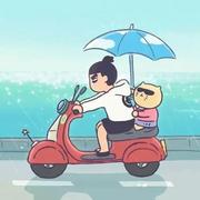 野狼歌唱家的个人资料头像