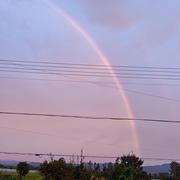 丁达尔效应的个人资料头像