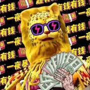 缄默本尊的个人资料头像