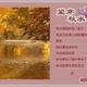 A望穿秋水5惶头像