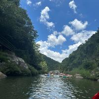 简单橘子M57头像