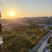 随遇而安67769头像