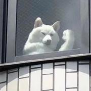 air0的个人资料头像