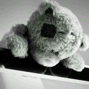 tianshui的个人资料头像