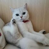 顶级钢笔zwU头像
