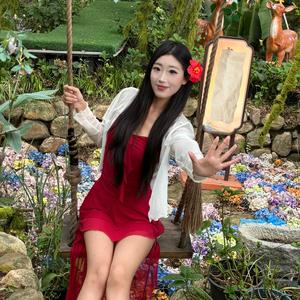 鱼丸环游迹