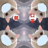 GUOUG猹456头像