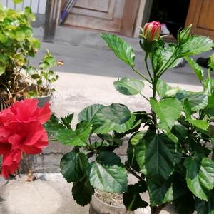 @田红梅～～～头像