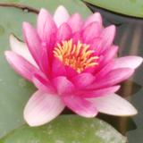 春姐爱剪辑头像