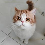 满目山河不及你362的个人资料头像