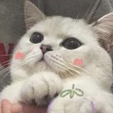 不知道叫啥呢11头像