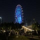 智慧酸酸酸头像