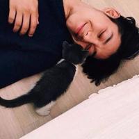 NiHenYangShuai头像