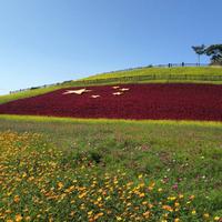 小老百姓8831头像