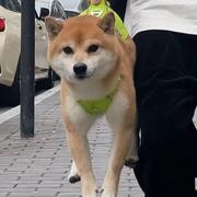 星期天800的个人资料头像