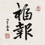 镜头里的小趴菜头像