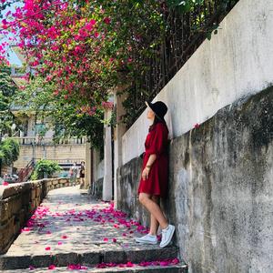 爱旅行的小吃货9Z4x头像