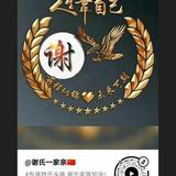 谢老大园林绿化头像