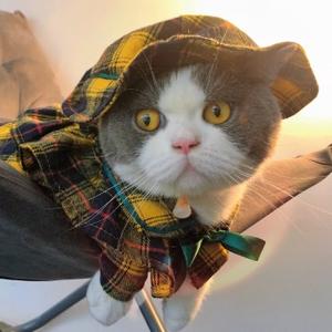 Rich的平凡世界头像