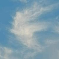 怀揣梦想的小徐创业记头像