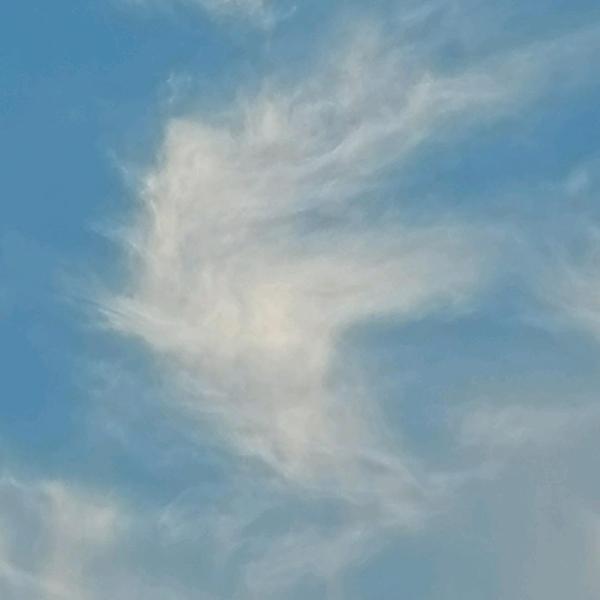 怀揣梦想的小徐创业记头像