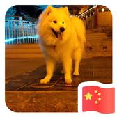 碧水蓝天52651头像