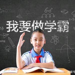 柠檬老师升学指导头像