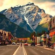 蓝山773的个人资料头像