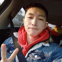 大象会游泳头像