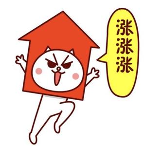 炒股养猫头像