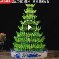 大鹏0853头像