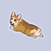 CyZhao的个人资料头像