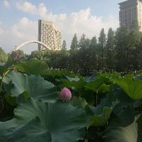 江湖人称老咸肉头像